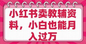 小红书卖教辅资料，0 成本，纯利润，售后成本极低，小白也能月入过W-知乎者也