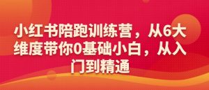 小红书陪跑训练营，从6大维度带你0基础小白，从入门到精通-知乎者也