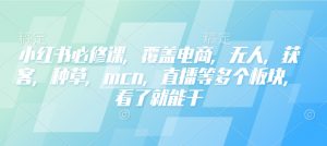 小红书必修课,覆盖电商,无人,获客,种草,mcn,直播等多个板块,看了就能干-知乎者也