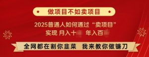 必看,做项目不如卖项目,2025普通人如何通过“卖项目”实现月入十个,年入百个-知乎者也
