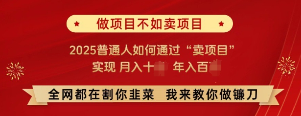 必看,做项目不如卖项目,2025普通人如何通过“卖项目”实现月入十个,年入百个-知乎者也