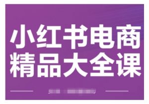小红书电商精品大全课,快速掌握小红书运营技巧,实现精准引流与爆单目标,轻松玩转小红书电商-知乎者也