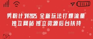 男粉计划2025  全新玩法打爆流量 独立网站 独立资源后台扶持【揭秘】-知乎者也