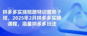 拼多多实操陪跑特训营弟子班,2025年2月拼多多实操课程,海量拼多多玩法-知乎者也