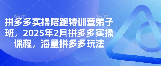 拼多多实操陪跑特训营弟子班,2025年2月拼多多实操课程,海量拼多多玩法-知乎者也