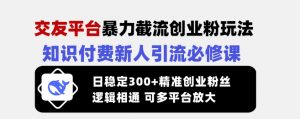 交友平台暴力截流创业粉玩法,知识付费新人引流必修课,日稳定300+精准创业粉丝,逻辑相通可多平台放大-知乎者也