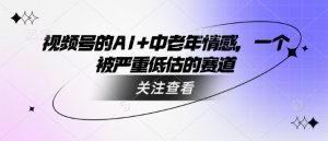 视频号的AI+中老年情感，一个被严重低估的赛道-知乎者也