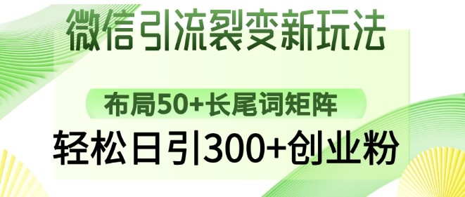 微信引流裂变新玩法:布局50+长尾词矩阵,轻松日引300+创业粉-知乎者也