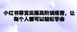 小红书带货实操高阶训练营，让每个人都可以轻松学会-知乎者也