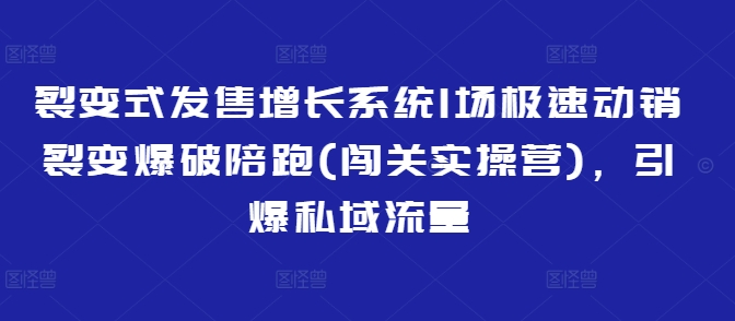 裂变式发售增长系统1场极速动销裂变爆破陪跑(闯关实操营),引爆私域流量-知乎者也