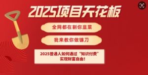 2025项目天花板普通人如何通过知识付费,实现财F自由【揭秘】-知乎者也