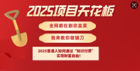 2025项目天花板普通人如何通过知识付费,实现财F自由【揭秘】-知乎者也