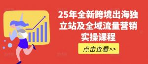 25年全新跨境出海独立站及全域流量营销实操课程,跨境电商独立站TIKTOK全域营销普货特货玩法大全-知乎者也