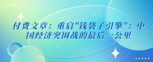 付费文章:重启”钱袋子引擎”:中国经济突围战的最后一公里-知乎者也