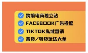 跨境电商独立站及全域流量营销,从0基础快速入门并精通跨境电商运营-知乎者也