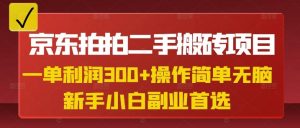 京东拍拍二手搬砖项目,一单纯利润3张,操作简单,小白兼职副业首选-知乎者也