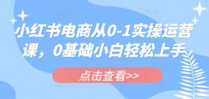 小红书电商从0-1实操运营课，0基础小白轻松上手-知乎者也