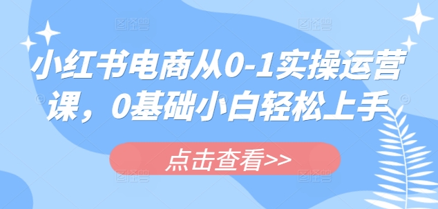 小红书电商从0-1实操运营课,0基础小白轻松上手-知乎者也