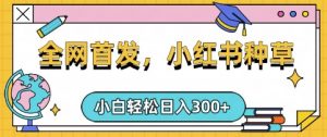 小红书种草,手机项目,日入3张,复制黏贴即可,可矩阵操作,动手不动脑【揭秘】-知乎者也
