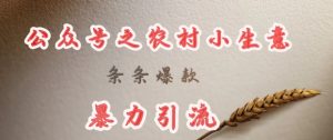 deepseek写农村小项目，条条爆款，暴力引流-知乎者也