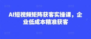 AI短视频矩阵获客实操课,企业低成本精准获客-知乎者也