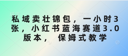 私域卖壮锦包,一小时3张,小红书蓝海赛道3.0版本, 保姆式教学-知乎者也