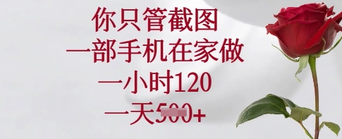 你只管截图,一部手机在家做,一小时120.一天5张【揭秘】-知乎者也