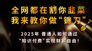 全网都在割你韭菜,我来教你做镰刀,2025普通人如何通过知识付费,实现财F自由【揭秘】-知乎者也