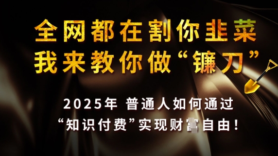 全网都在割你韭菜,我来教你做镰刀,2025普通人如何通过知识付费,实现财F自由【揭秘】-知乎者也
