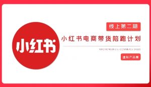 2025小红书虚拟电商实战课,从0到1打造无货源店铺,AI+爆款笔记轻松变现-知乎者也