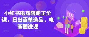 小红书电商陪跑正价课,小红书官方认证电商讲师教学,日出百单选品,电商掘进课-知乎者也