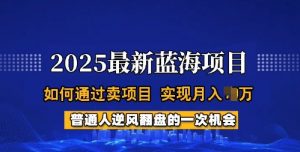 2025蓝海项目,普通人如何通过卖项目,实现月入过W,全过程【揭秘】-知乎者也