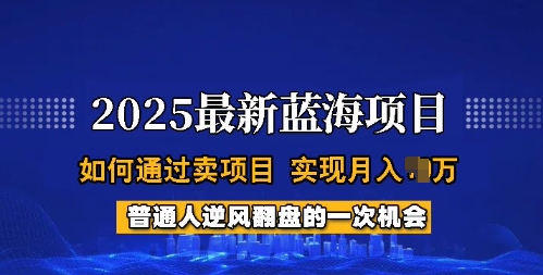 2025蓝海项目,普通人如何通过卖项目,实现月入过W,全过程【揭秘】-知乎者也