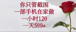 你只管截图，一部手机在家操作，一小时120.一天5张【揭秘】-知乎者也
