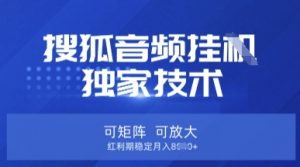 【搜狐音频挂G】独家技术，可矩阵可放大，红利期稳定月入8k【揭秘】-知乎者也