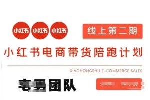 小红书电商带货课2期,月利润20个的小红书电商的有货源,无货源,虚拟产品,付费投流等整套玩法-知乎者也
