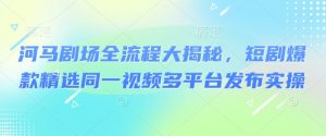 河马剧场全流程大揭秘，短剧爆款精选同一视频多平台发布实操-知乎者也