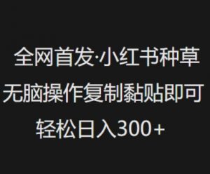 全网首发,小红书种草无脑操作,复制黏贴即可,轻松日入3张-知乎者也