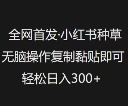 全网首发,小红书种草无脑操作,复制黏贴即可,轻松日入3张-知乎者也