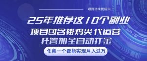 25年推荐这10个副业项目包含褂鸡类、代运营托管类、全自动打金类【揭秘】-知乎者也