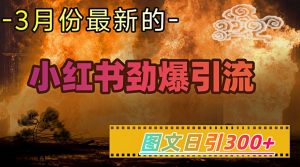 小红书超劲爆引流手段，图文日引300+轻松变现1W-知乎者也