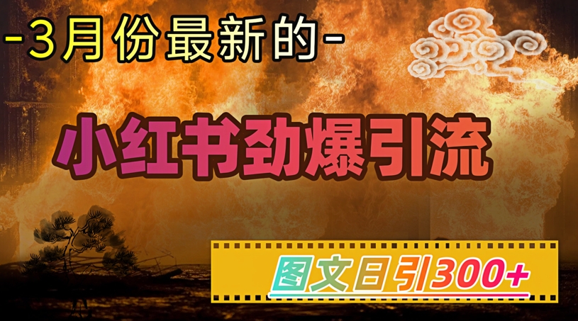 小红书超劲爆引流手段,图文日引300+轻松变现1W-知乎者也