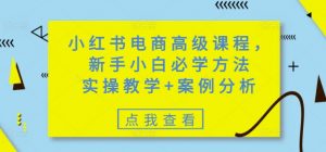 小红书电商高级课程,新手小白必学方法,实操教学+案例分析-知乎者也