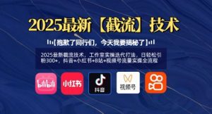 2025最新截流技术,工作室实操迭代打法,日轻松引粉300+,抖音+小红书+B站+视频号流量实操全流程-知乎者也