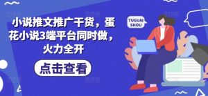 小说推文推广干货，蛋花小说3端平台同时做，火力全开-知乎者也