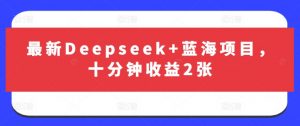 最新Deepseek+蓝海项目，十分钟收益2张-知乎者也