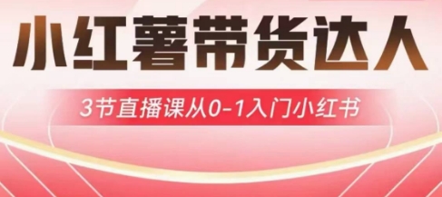 小红薯达人带货启航计划,3节直播课从0-1入门小红书-知乎者也