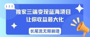 独家三端变现蓝海项目,让你收益最大化,长尾流无限躺挣-知乎者也