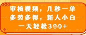 审核视频，几秒一单，多劳多得，新人小白一天轻松3张【揭秘】-知乎者也