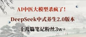 AI中医大模型杀疯了!DeepSeek中式养生2.0版本,十几篇笔记粉丝3w+-知乎者也